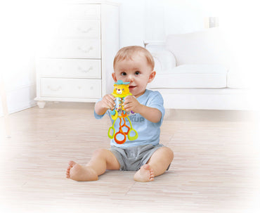 Shake & Pull Busy Ball Toy with Lights Learning for Toddlers product details in Kuwait