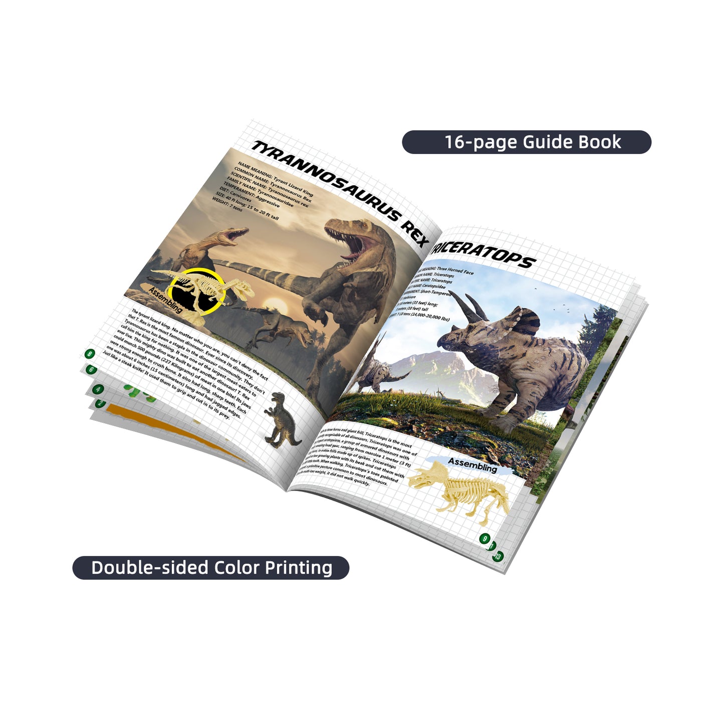 Wow Toys Dig & Explore Dinosaurs Set