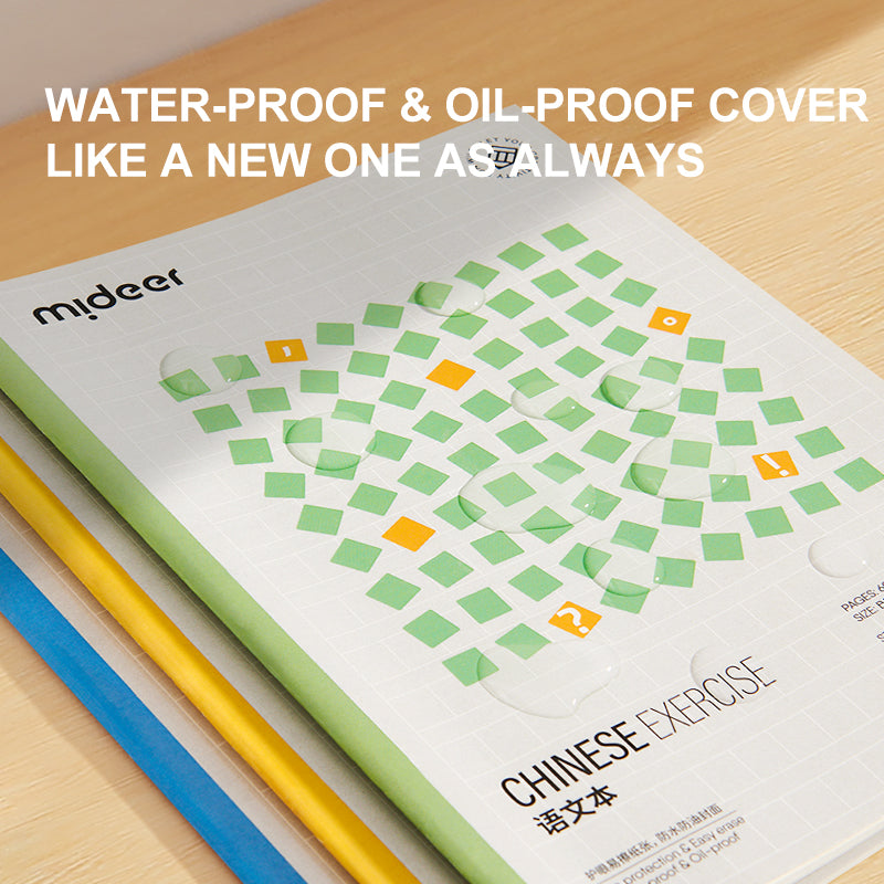 Mideer Student Workbook - English Exercise