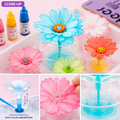 Mideer Magic Dyeing Florist Craft Kit – STEM Art Toy for Kids